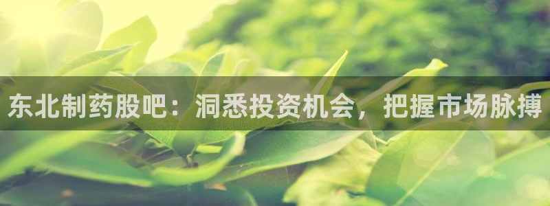 老哥俱乐部是干什么的:东北制药股吧:洞悉投资机会,把握市场脉